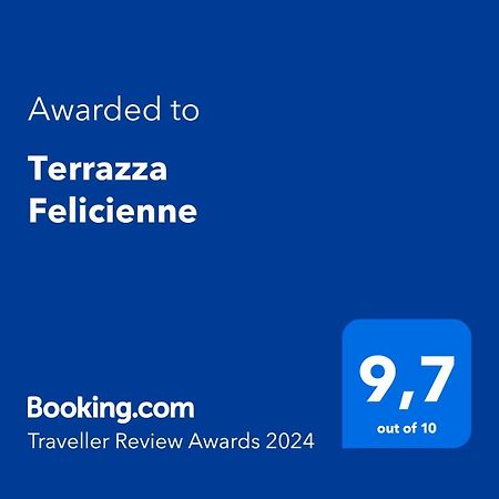 索伦托Terrazza Felicienne公寓 外观 照片